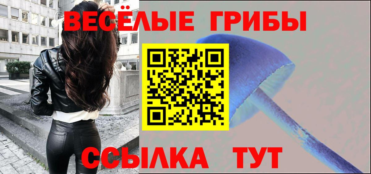 Галлюциногенные грибы GOLDEN TEACHER  Вход с VPN  Жуковский 